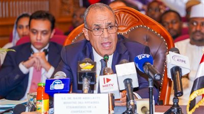 مصر وتشاد تعقدان الدورة الرابعة للجنة المشتركة وتوقعان مذكرات تفاهم لتعزيز التعاون في الصحة والنقل والتعليم والثقافة