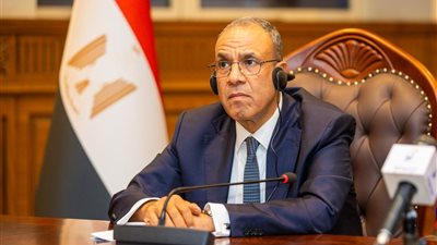 وزير الخارجية: القطاع الخاص يقود شراكة مصر وتشاد نحو مشروعات واستثمارات جديدة