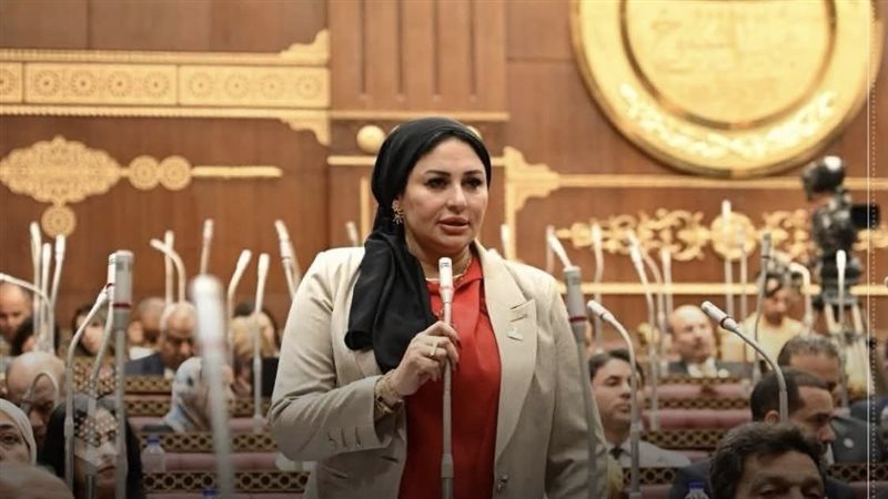 النائبة صاحبة مقترح تغيير مسمى ربة منزل 