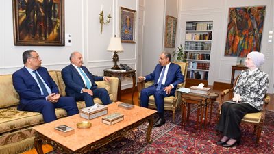 وزير الخارجية يبحث مع قيادات برلمانية تعزيز التنسيق حول التطورات الإقليمية والدولية