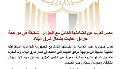 مصر تعرب عن تضامنها الكامل مع الجزائر في مواجهة حرائق الغابات وتقدم التعازي لأسر الضحايا