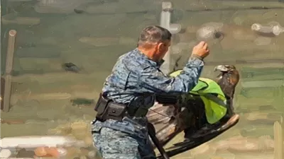 نسر ذهبي يهاجم شرطيا