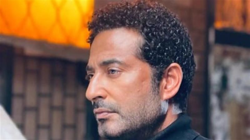 عمرو سعد 