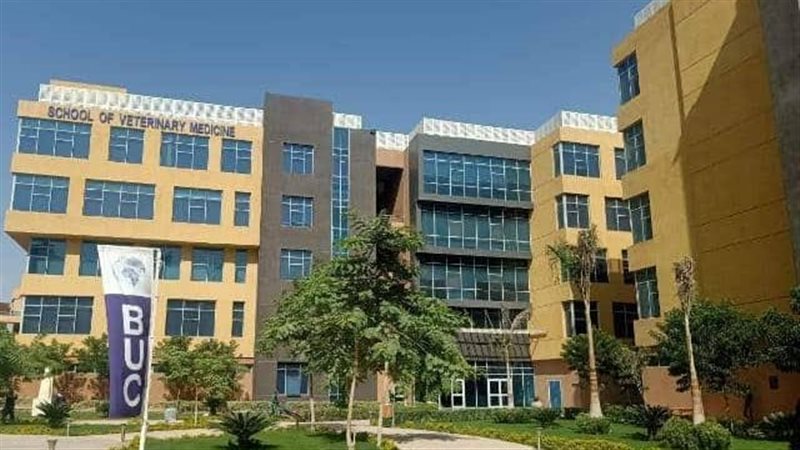 جامعة بدر 