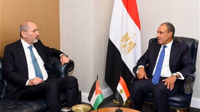 عبد العاطي والصفدي يبحثان تطورات غزة والضفة ويؤكدان رفض الضم والاستيطان وتعزيز التعاون المصري الأردني