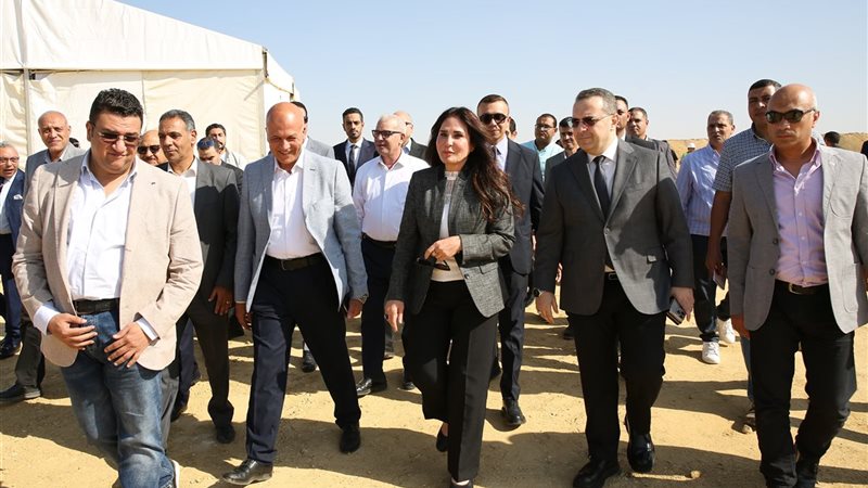 هير نيوز