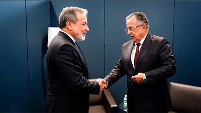 نبيل فهمي يبحث مع وزير الخارجية الإيراني تداعيات الأزمة وسبل خفض التصعيد في المنطقة