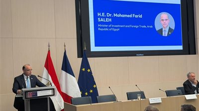 محمد فريد: 15.5 مليار دولار استثمارات أجنبية مباشرة لمصر في 2025.. و65% من الاستثمارات يقودها القطاع الخاص
