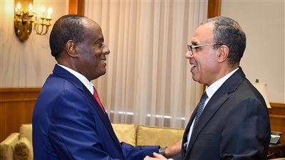 بدر عبد العاطي يبحث مع المستشار الاقتصادي للرئيس الإريتري تعزيز التعاون الاقتصادي والاستثماري بين البلدين