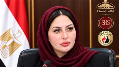 النائبة شيرين صبري.. حضور هادئ وشغف بالعمل لا يهدأ