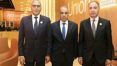   عبد العاطي يبحث مع وزيري خارجية تشاد وليبيا تعزيز التعاون الأمني وتفعيل تجمع الساحل والصحراء