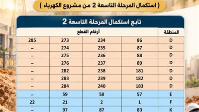 الإسكان: استكمال المرحلة التاسعة لتوصيل الكهرباء الدائمة لأراضي «بيت الوطن» بامتداد النرجس في القاهرة الجديدة