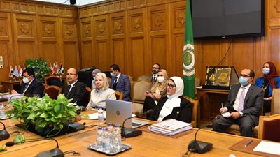 «زايد» تقترح بإنشاء «هيئة الدواء العربية».. وترحيب من وزراء الصحة العرب