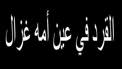عطاء الأم كلمة السر وراء المثل الشهير «القرد في عين أمه غزال»