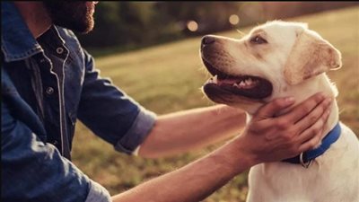 نهلة في دعوى خلع: بيحب الكلاب أكثر من أولاده