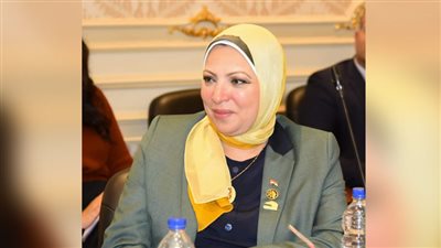 برلمانية تطالب القطاع الخاص بتطبيق الحد الأدنى للأجور.. خاص