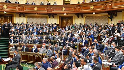 برلمانية: الدستور في عهد السيسي أعاد للمرأة مكانتها المرموقة.. فيديو