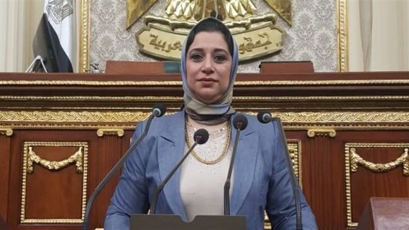 سحر القاضى، عضو مجلس