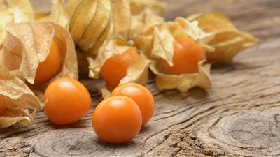 تقوية المناعة الأبرز.. 12 فائدة لا تعرفيها عن ثمرة «الست المستحية».. فيديو