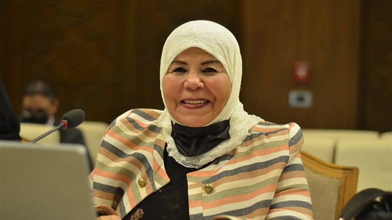 النائبة شادية الجمل