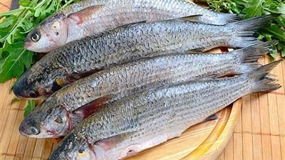 استعدادًا لشم النسيم.. خبير تغذية يوضح طريقة إعداد طعام صحي لتجنب التسمم