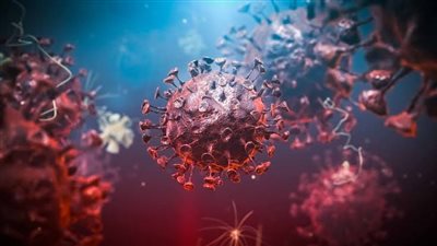 الصحة تسجل ارتفاعا جديدا بإصابات ووفيات كورونا.. وتعافي 341 حالة