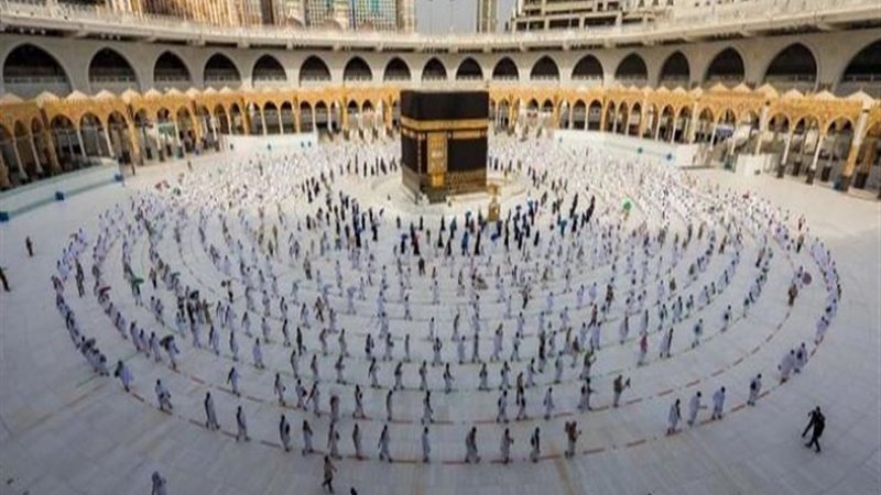 هير نيوز