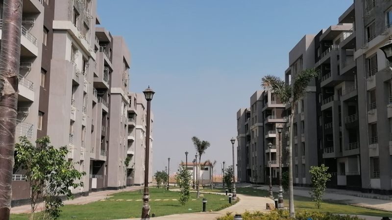 هير نيوز