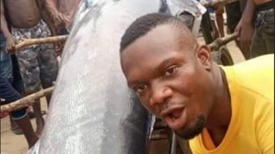 سعرها 2 مليون دولار وطولها 3 أمتار.. شاهدي أغلى سمكة في العالم.. فيديو 