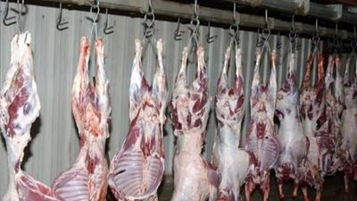 أسعار اللحوم اليوم الثلاثاء 30-3-2021.. الكندوز بـ85 والبتلو بـ90 جنيها
