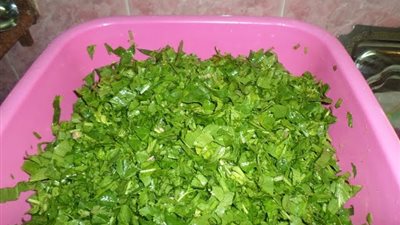 استعدادًا لشهر رمضان.. طريقة تخزين السبانخ والقلقاس.. فيديو