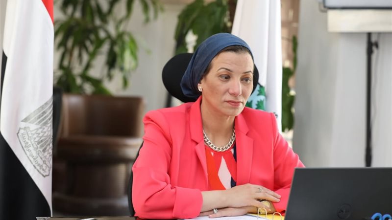 الدكتورة ياسمين فؤاد
