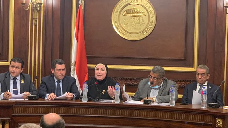 نيفين جامع وزيرة