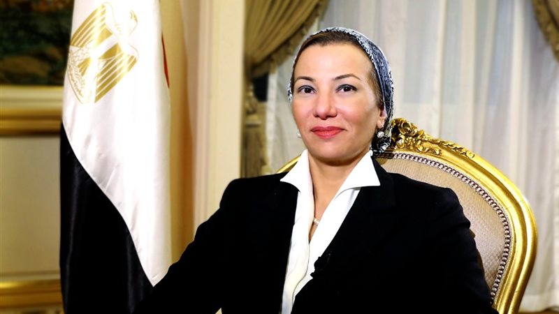 ياسمين فؤاد، وزيرة