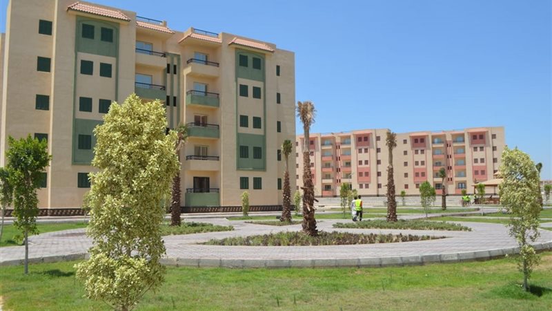 هير نيوز