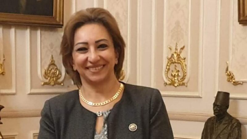النائبة مها عبدالناصر