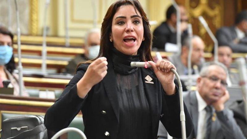النائبة الدكتورة