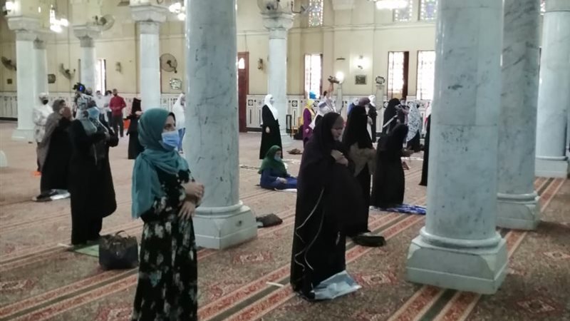 هير نيوز