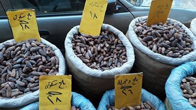 أسعار البلح اليوم الأحد 4-4-2021.. الإبريمي بـ6 جنيهات