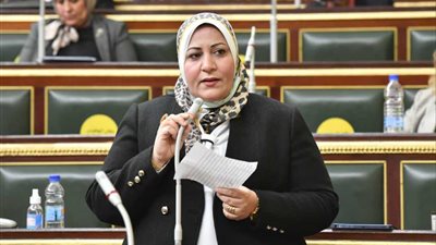 موكب المومياوات.. برلمانية: قيادة معاصرة رشيدة تُجدد حضارة فرعونية مجيدة