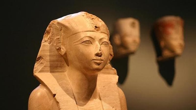 هير نيوز