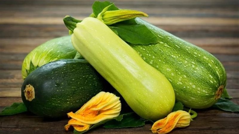 الكوسة مصنع «فيتامينات