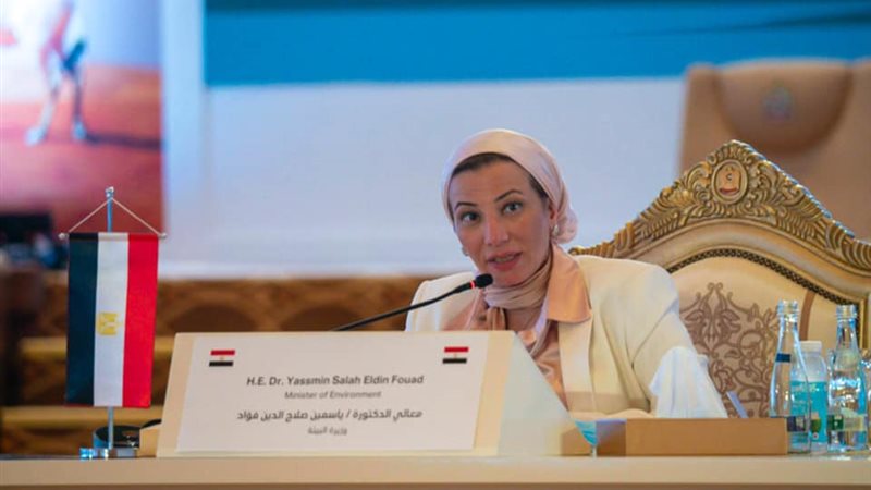 الدكتورة ياسمين
