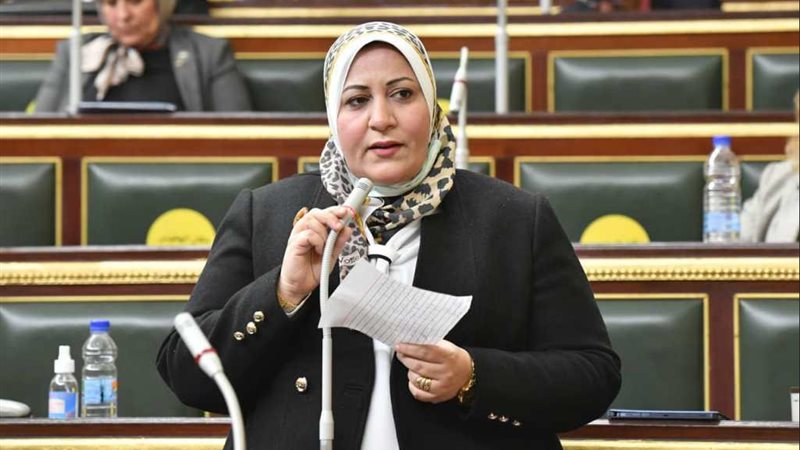 النائبة غادة الضبع
