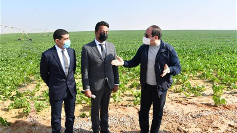مستقبل مصر بالصحراء