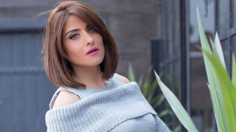 الفنانة هيدي كرم