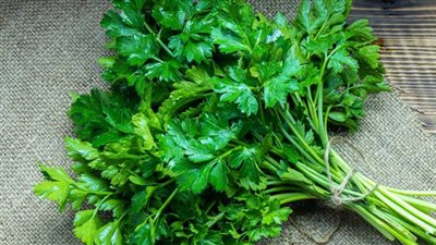 فوائد البقدونس الأخضر «بالجملة».. والحوامل ومرضى الكلى ممنوع الاقتراب