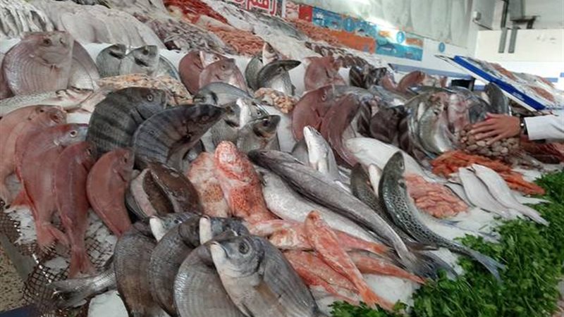 اسعار الأسماك اليوم