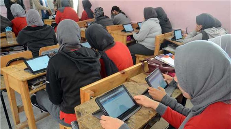 هير نيوز