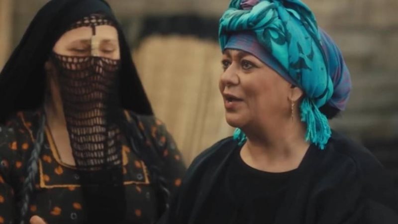 الفنانة فريدة سيف